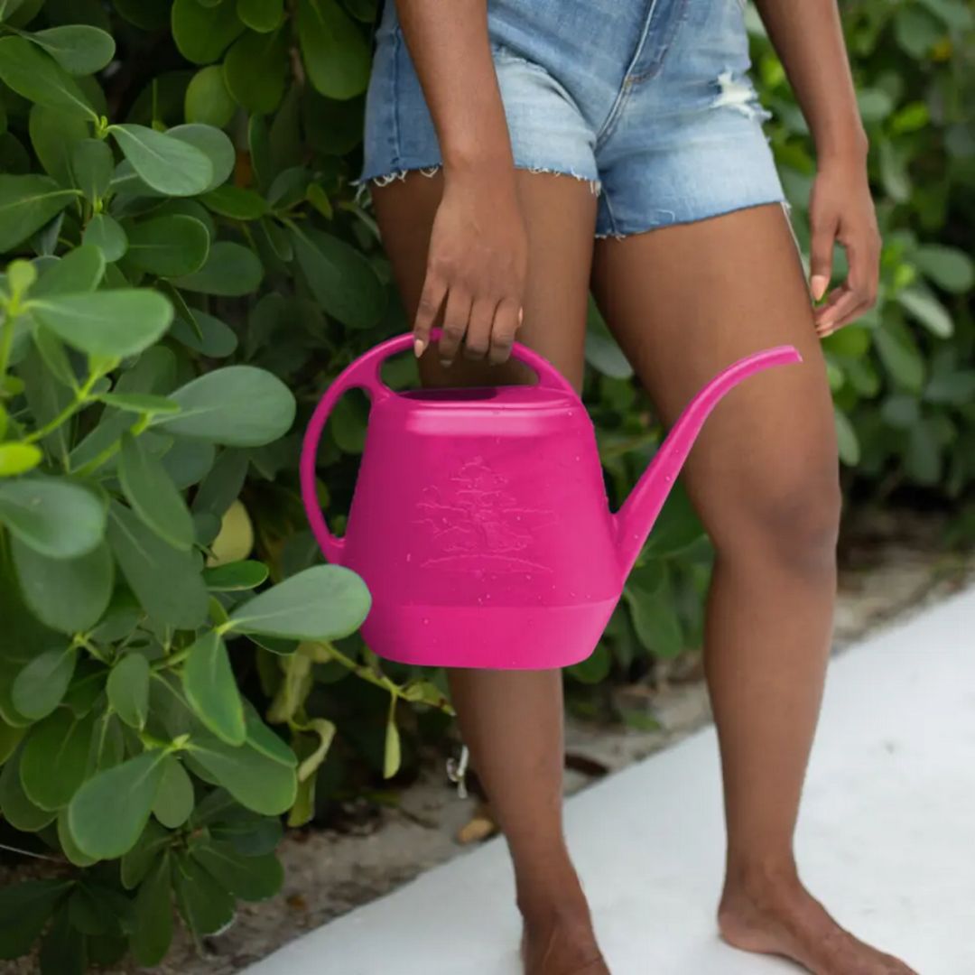 Aqua Rite Watering Can – Fuchsia – 56 oz